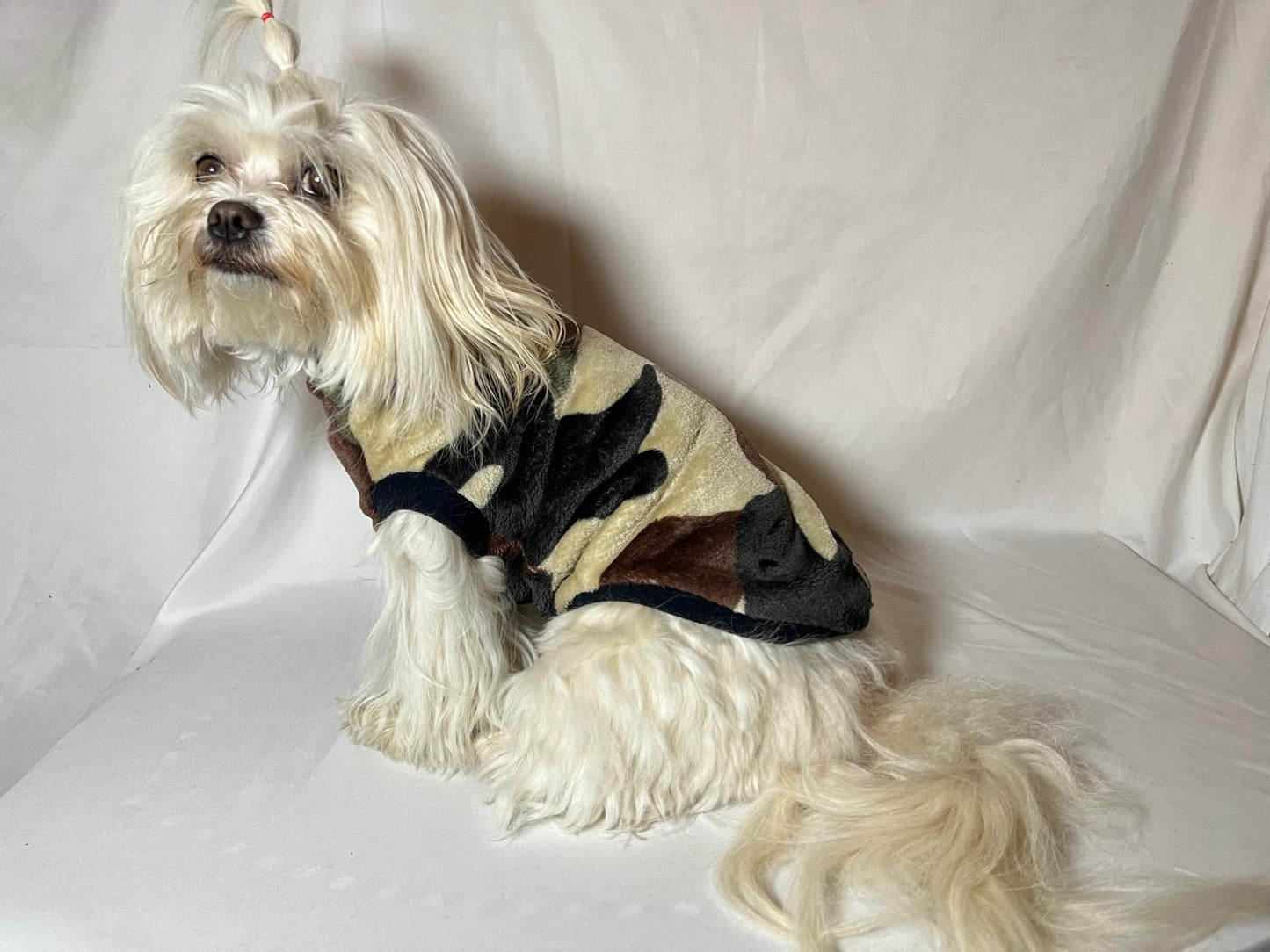 Dolcevita Pets