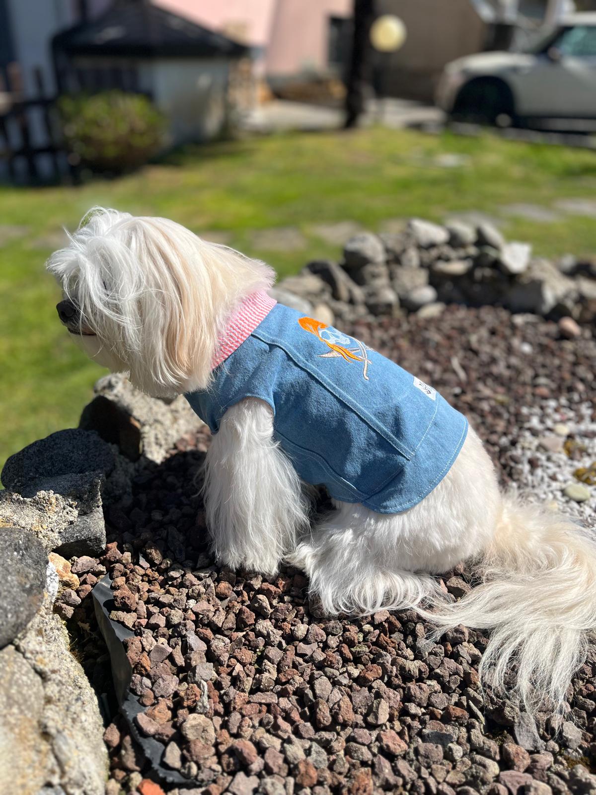 Giubbini in Jeans