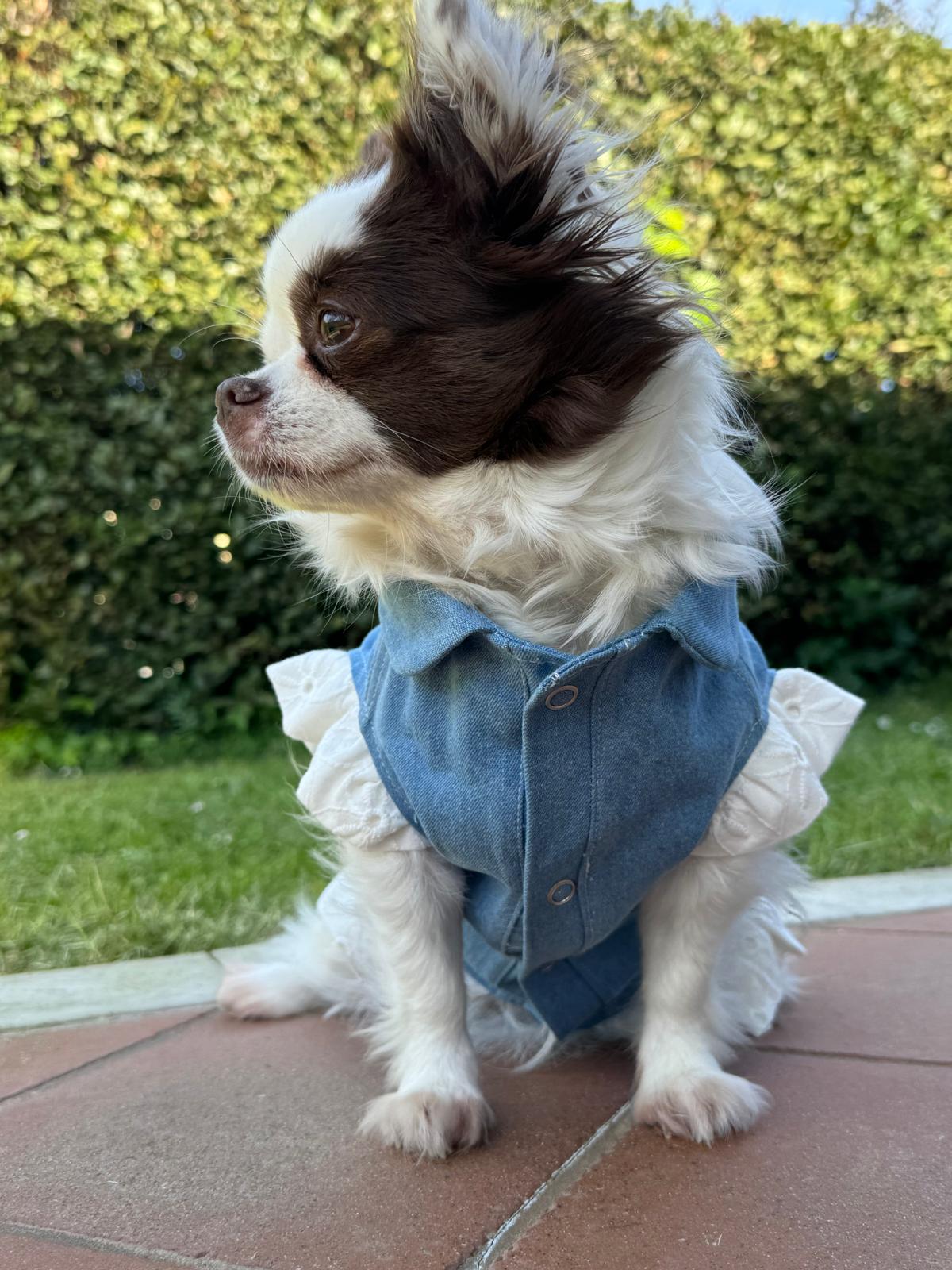Giubbini in Jeans