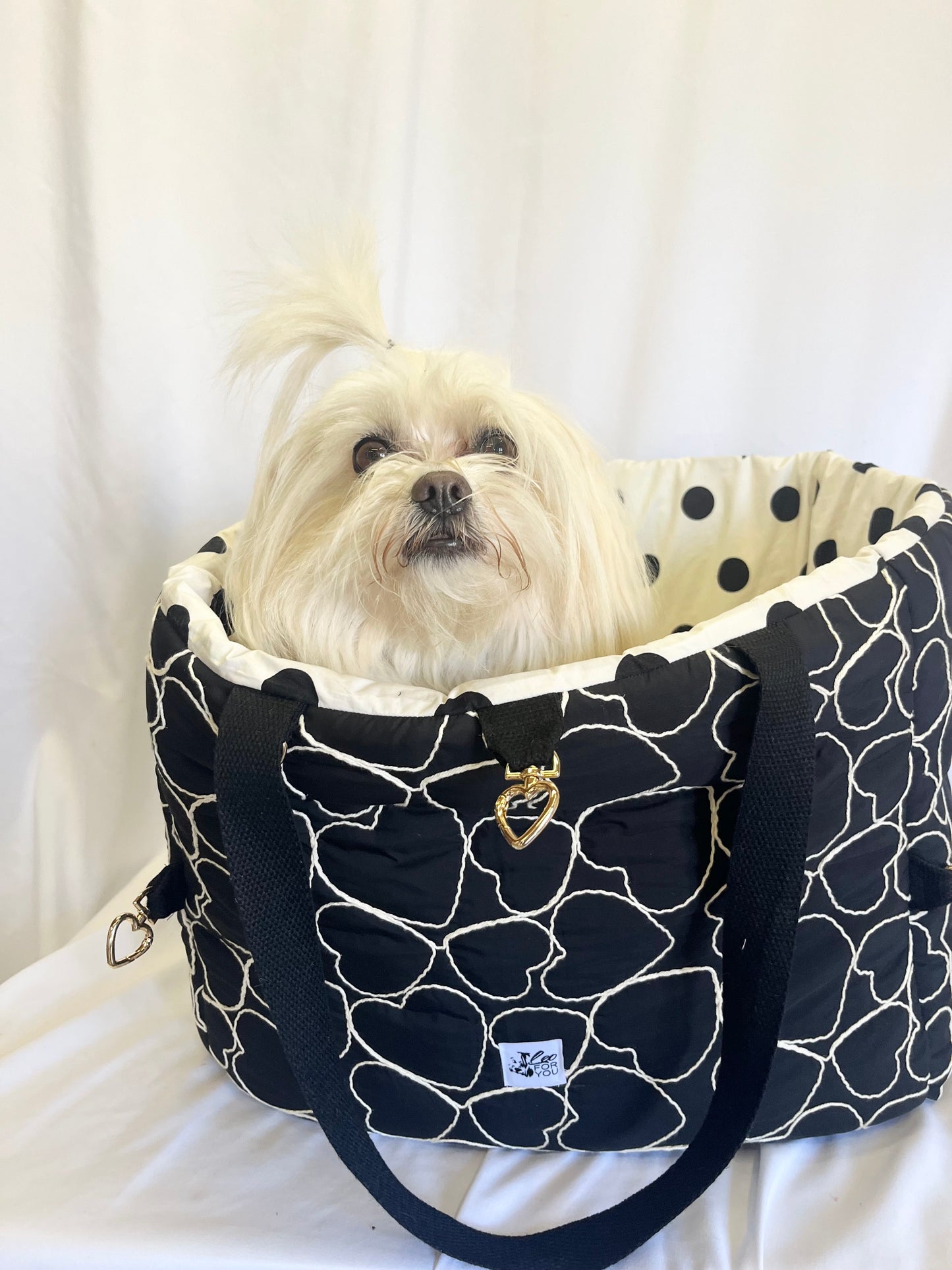 PetComfy

La borsa trasportino che diventa una morbida cuccia, ovunque voi siate
