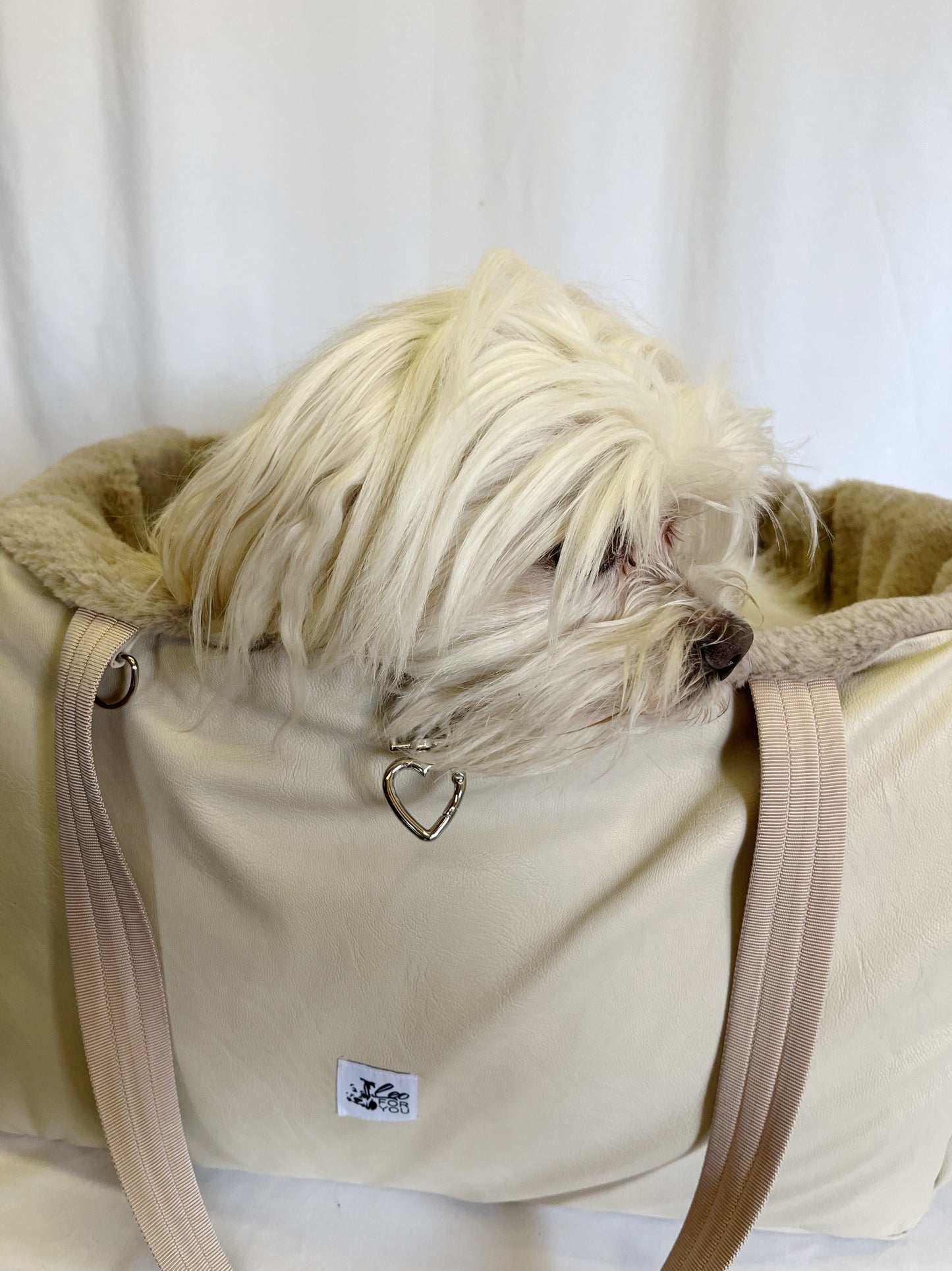 🐾 PetComfy

La borsa trasportino che diventa una comoda cuccia