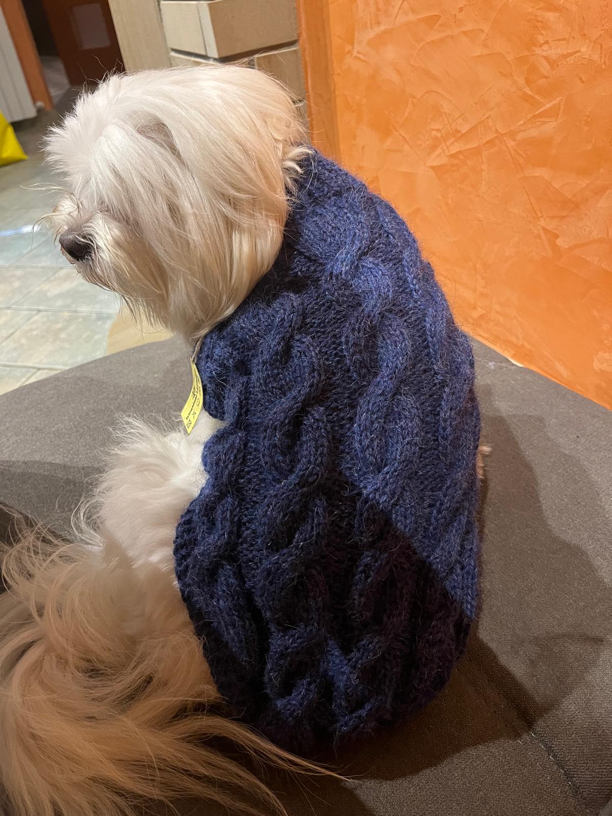Maglioni in Alpaca
