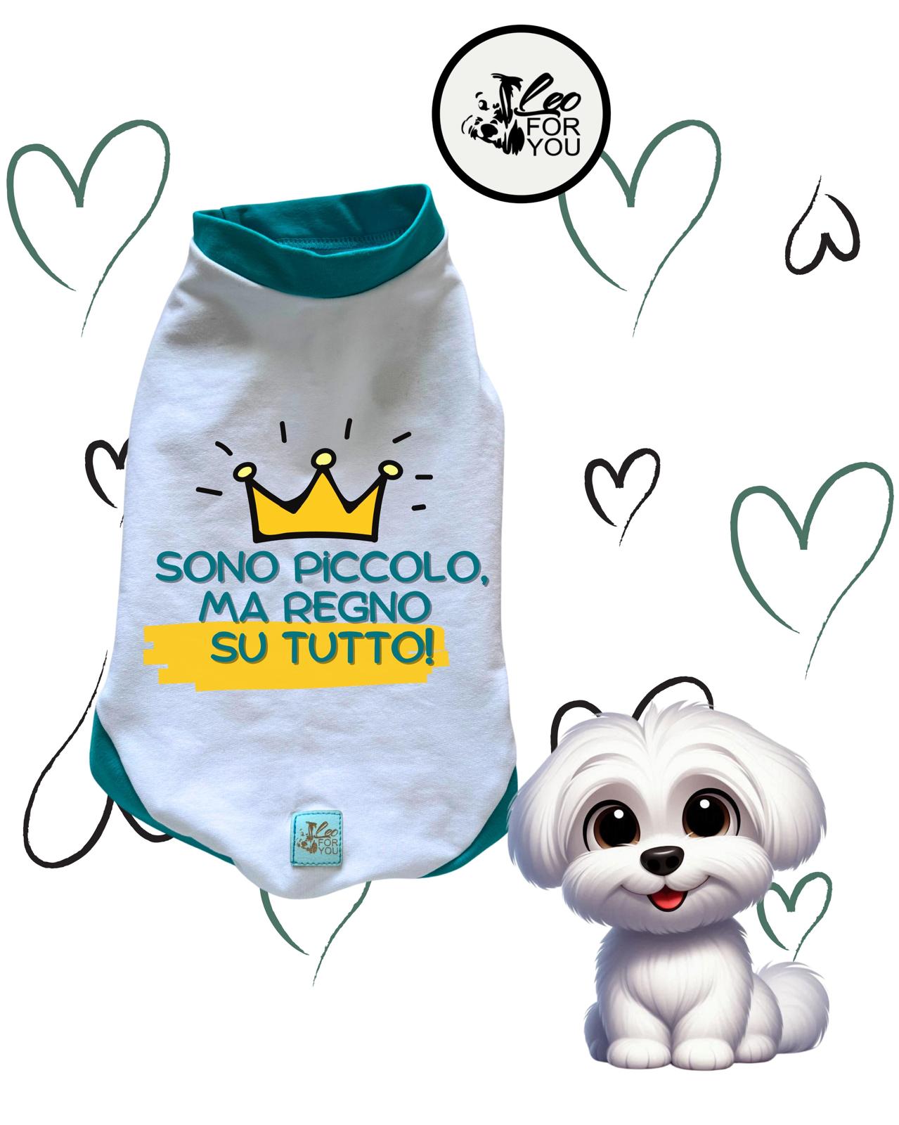 Le Felpe Più Cool del Momento