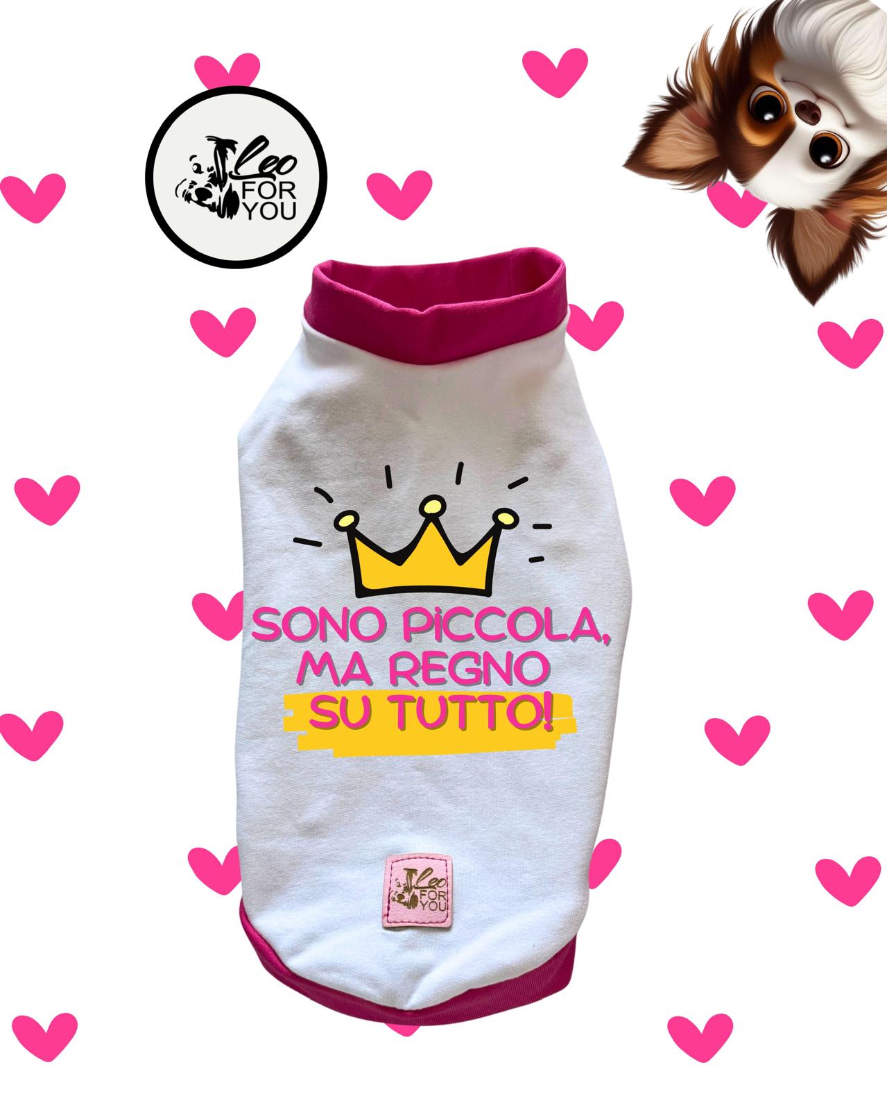 Le Felpe Più Cool del Momento