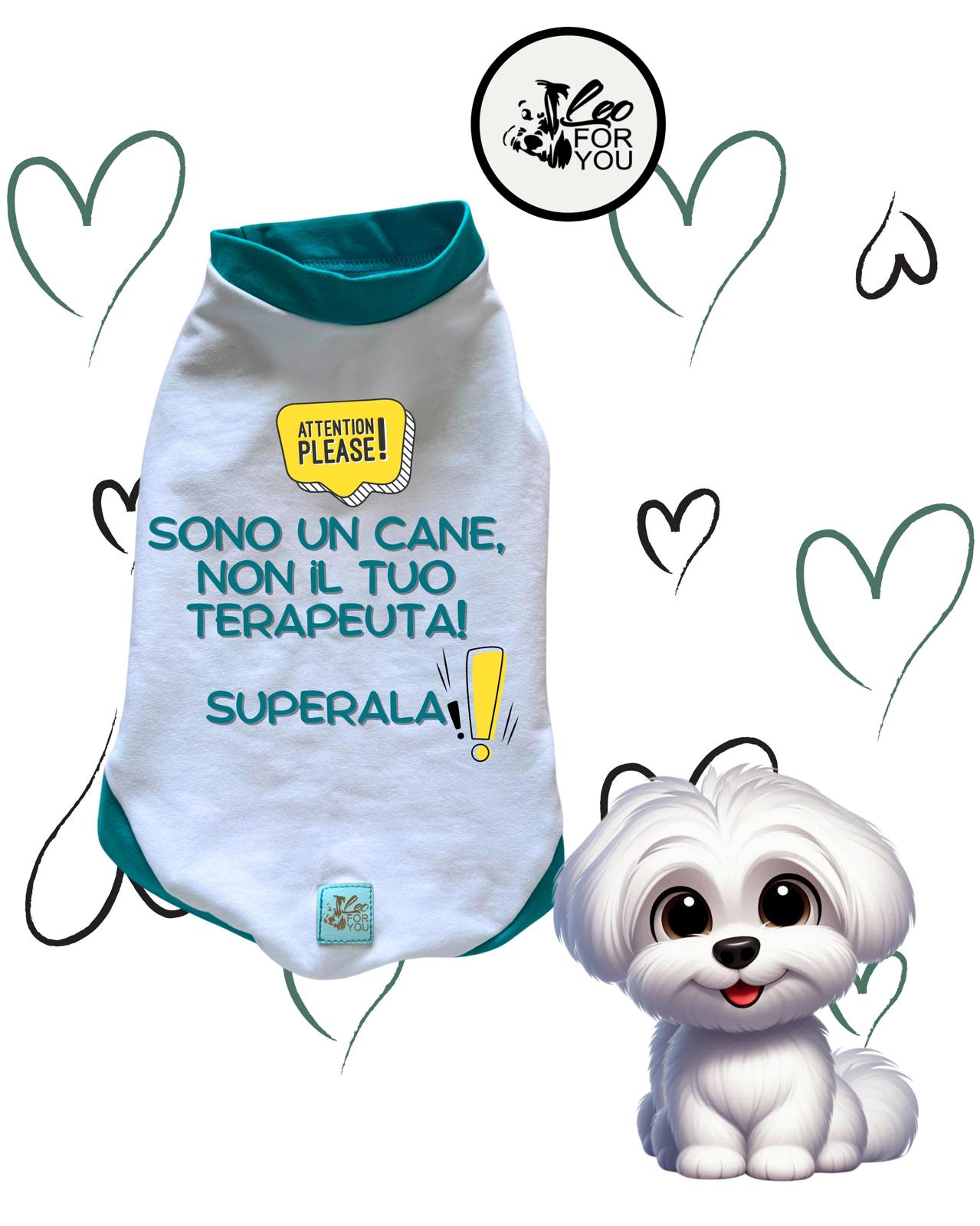 Le Felpe Più Cool del Momento