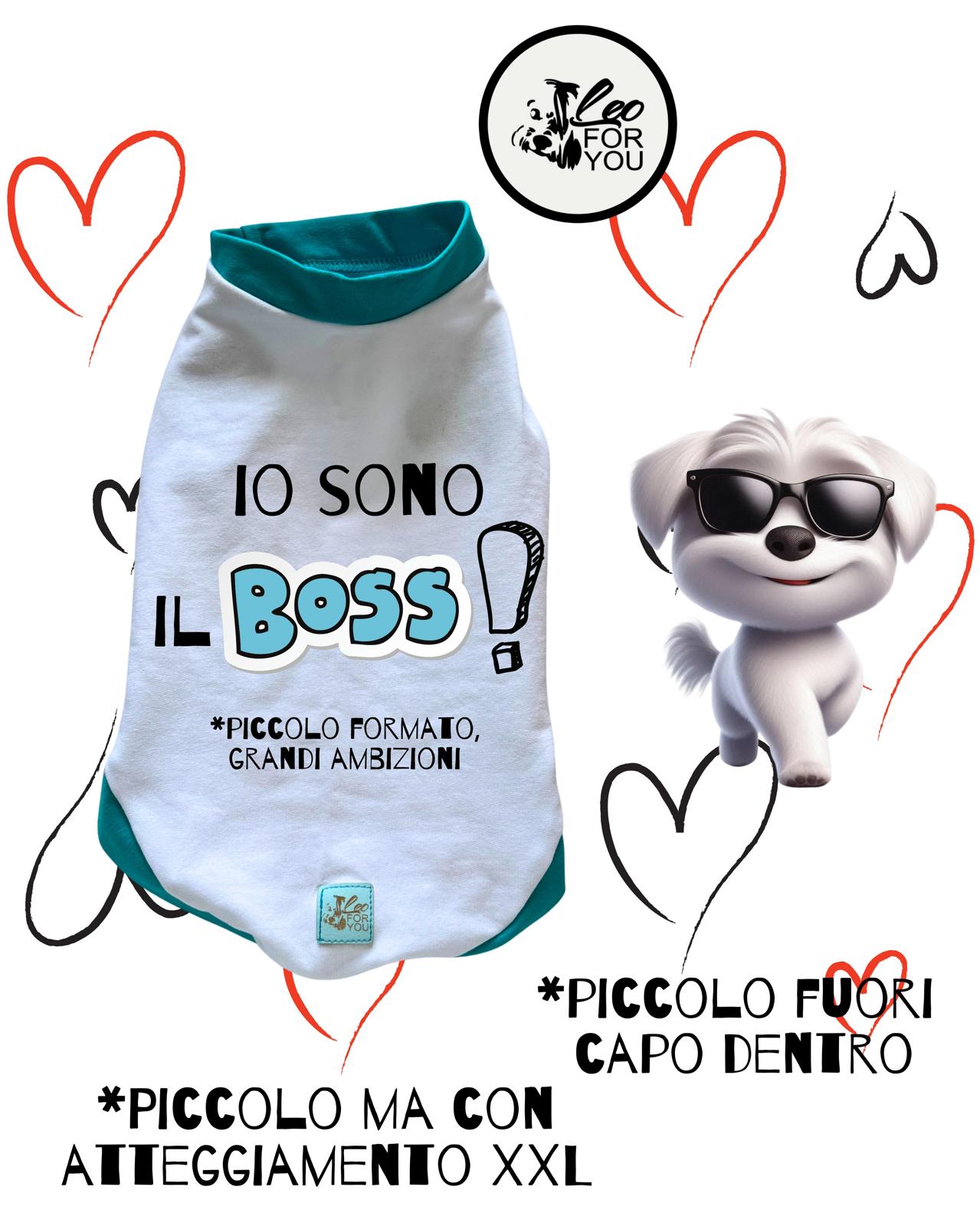 Le Felpe Più Cool del Momento