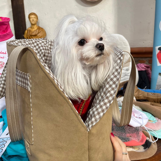 Borse Trasportino Camoscino