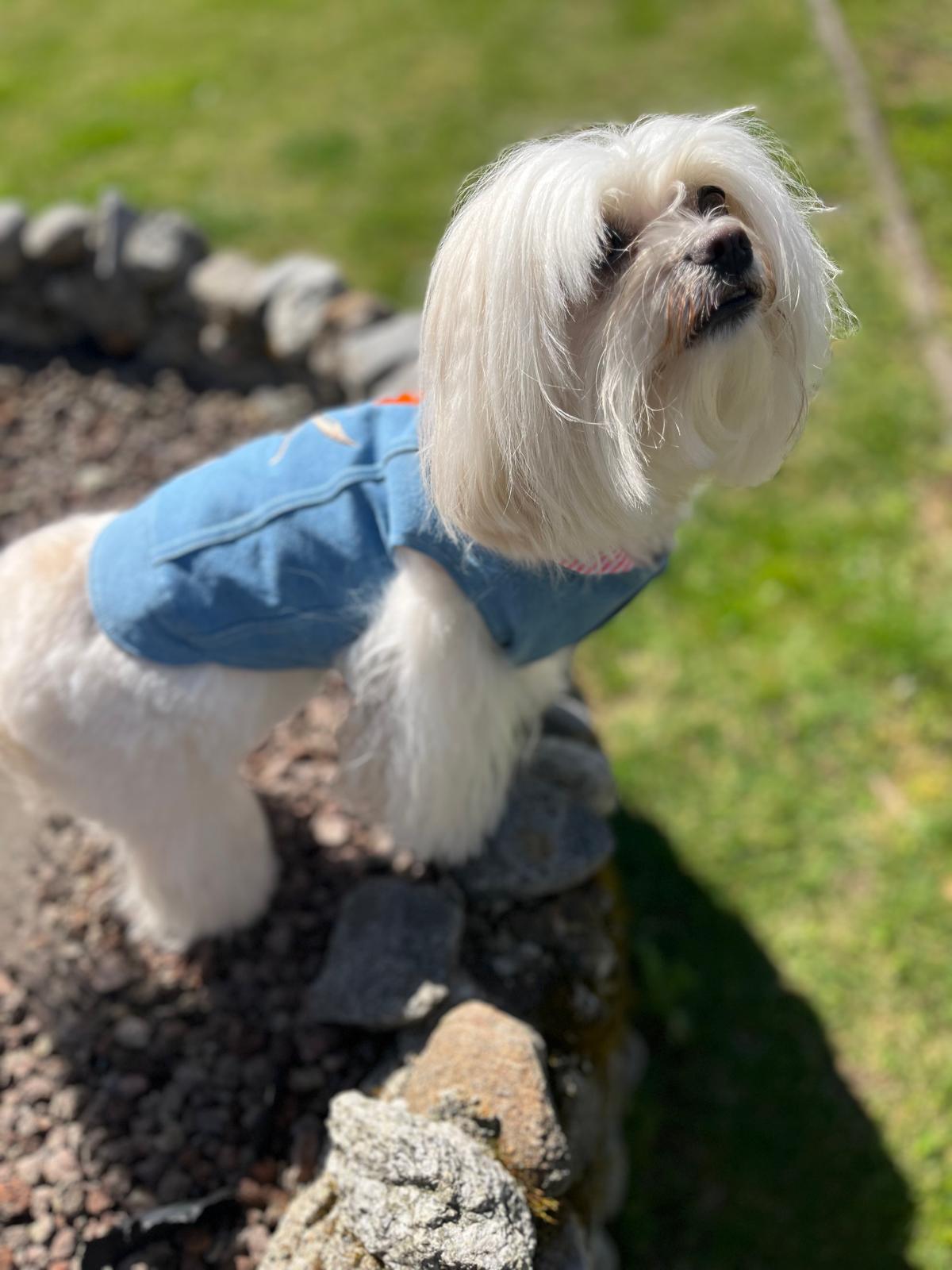 Giubbini in Jeans