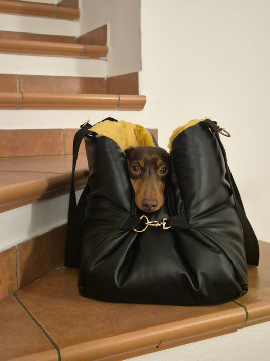 🐾 PetComfyLa borsa trasportino che diventa una comoda cuccia