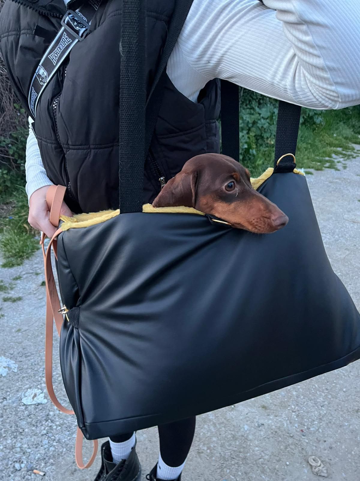 🐾 PetComfyLa borsa trasportino che diventa una comoda cuccia
