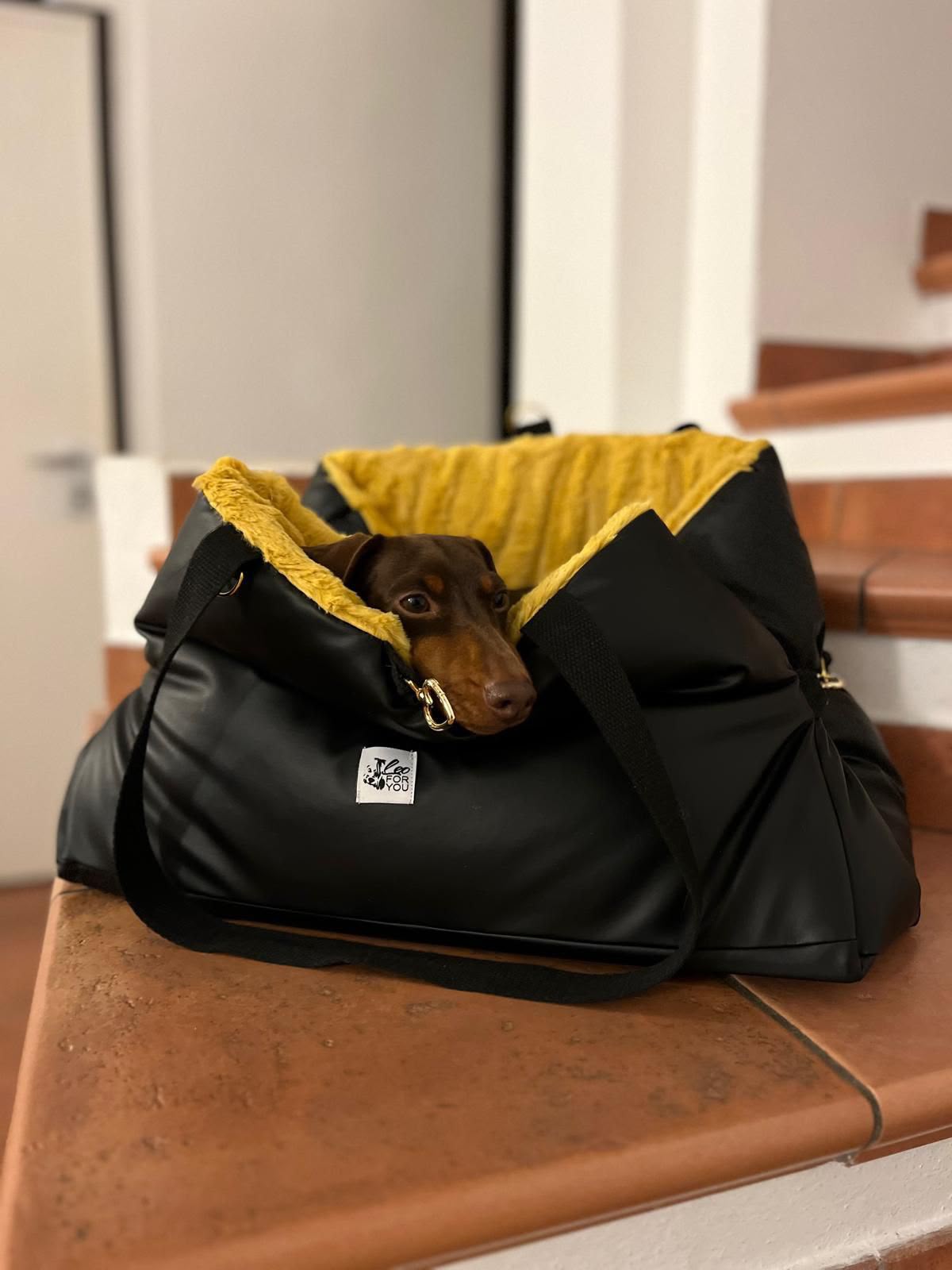🐾 PetComfyLa borsa trasportino che diventa una comoda cuccia