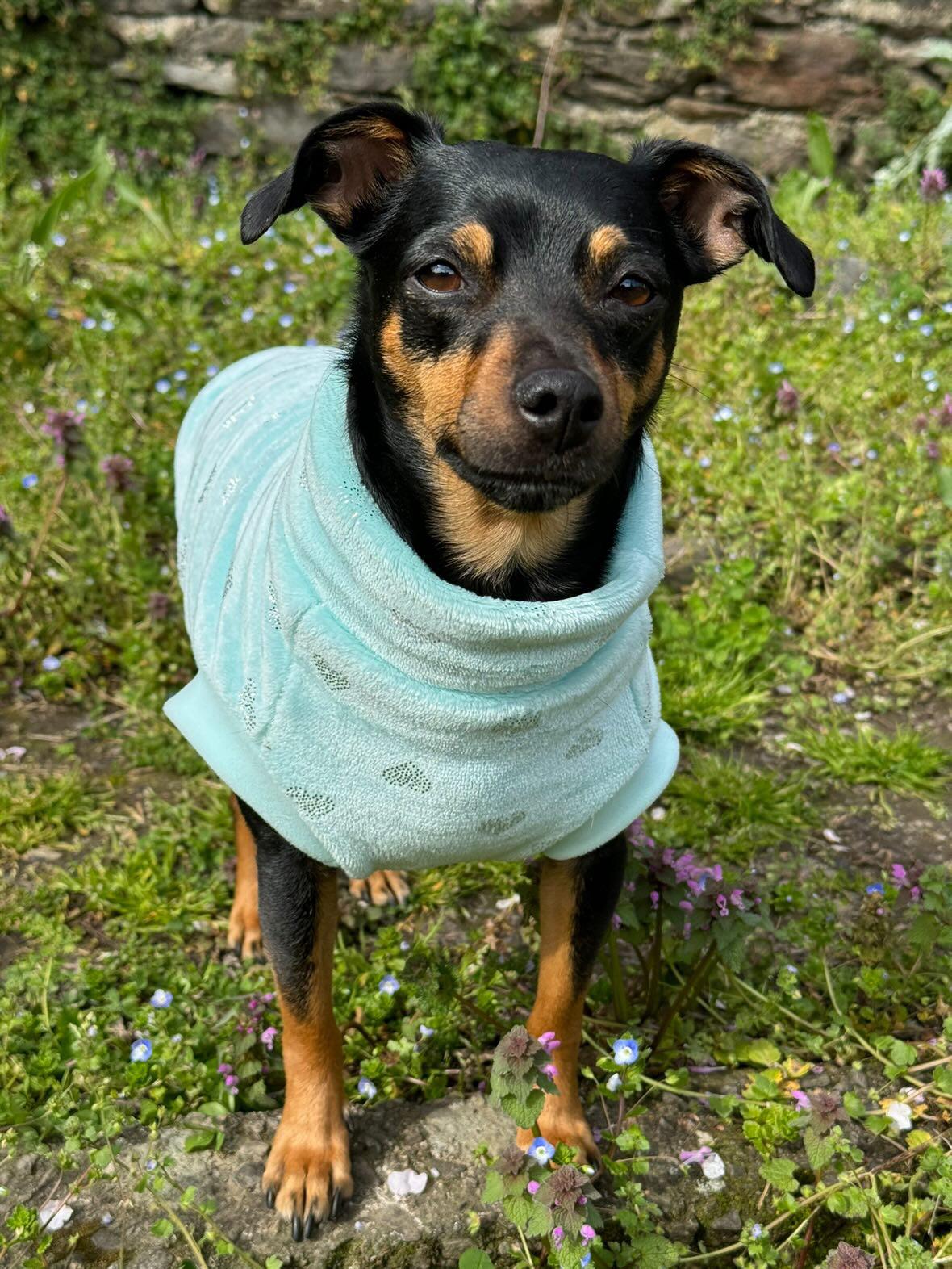 Dolcevita Pets