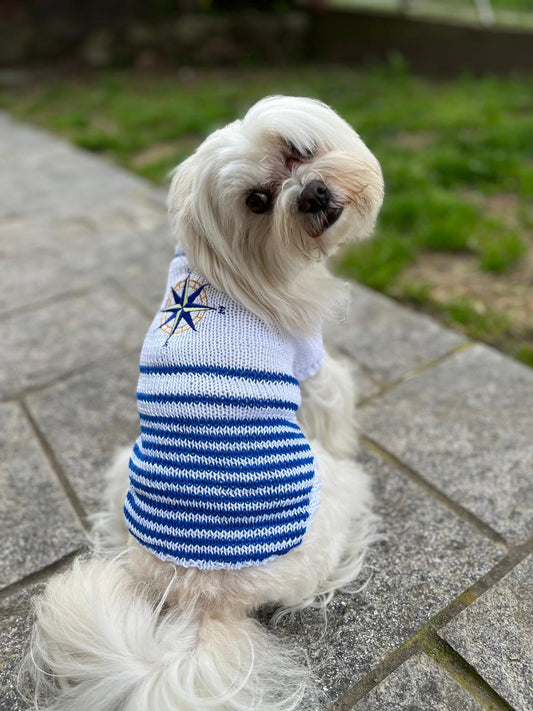 Maglioncini Pets in Puro Cotone