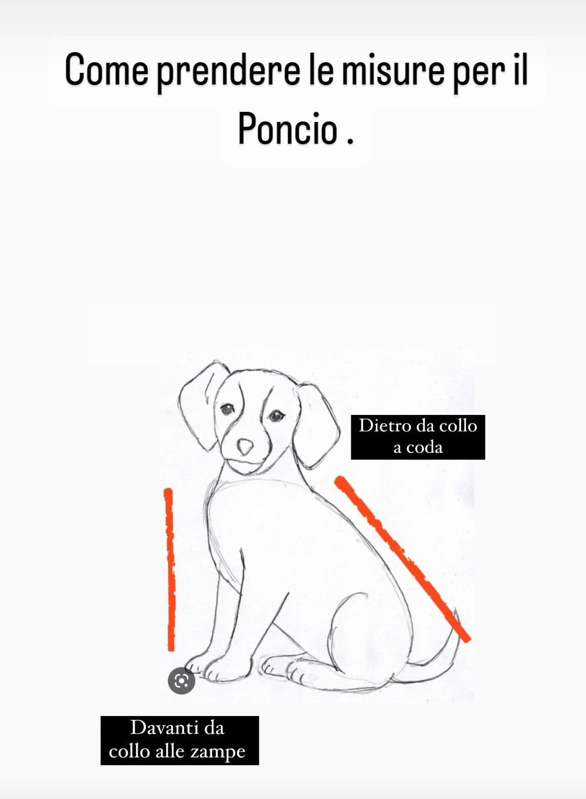 Set Coccole in Spugna di Bamboo per Bulldog